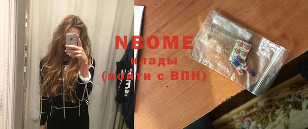 прущие грибы Болохово