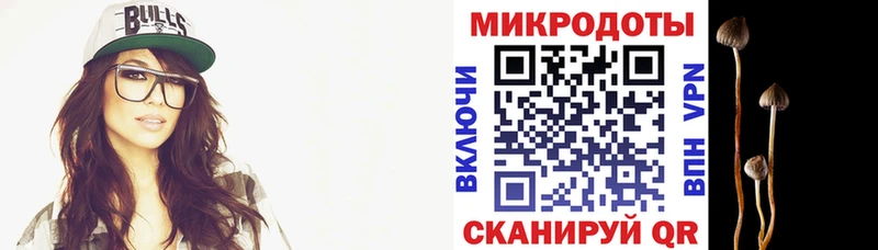 хочу   kraken онион  Псилоцибиновые грибы мицелий  Белокуриха 