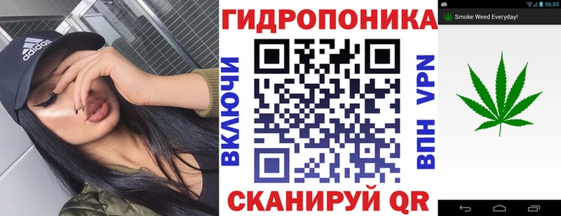 Бошки Шишки план  Белокуриха 
